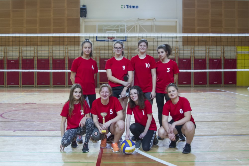 STAREJŠE UČENKE DRUGE NA MEDOBČINSKEM TEKMOVANJU V ODBOJKI