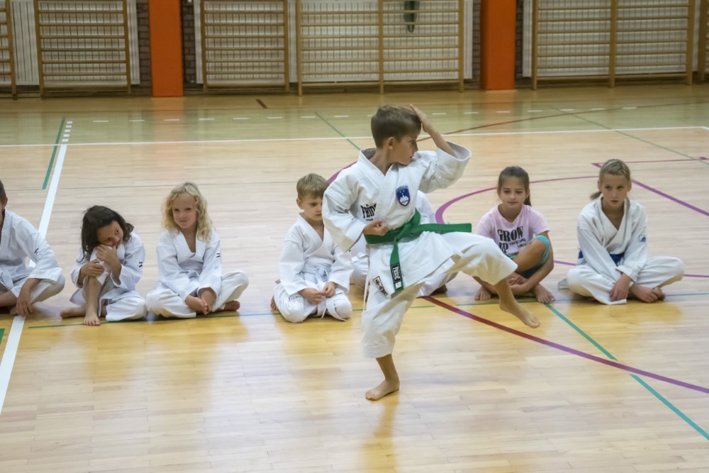 PREDSTAVITEV KARATEJA
