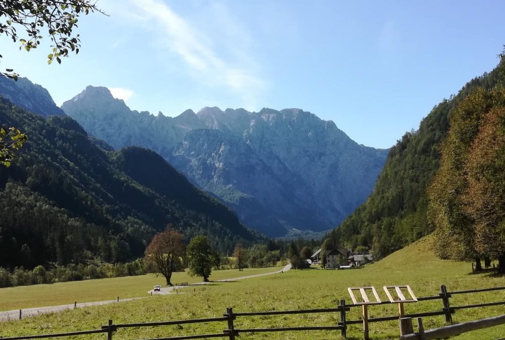 NARAVOSLOVNI DAN V LOGARSKI DOLINI IN JAMI PEKEL