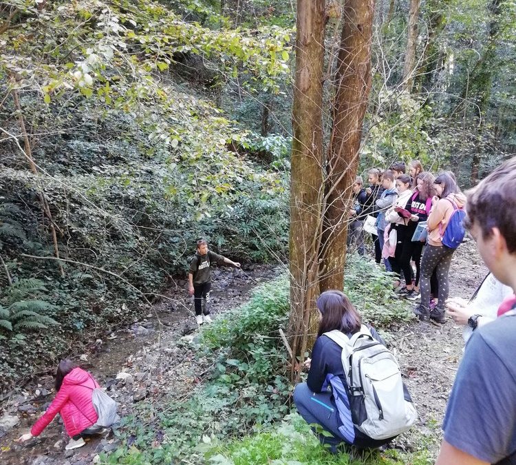 NARAVOSLOVNI DAN SOTESKA SVINJSKI GRABEN