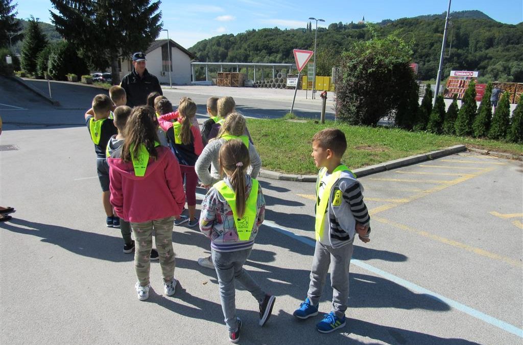 VIDNI IN BOLJ VARNI Z RUMENO RUTICO IN KRESNIČKO